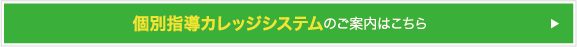 個別指導カレッジシステムのご案内はこちら