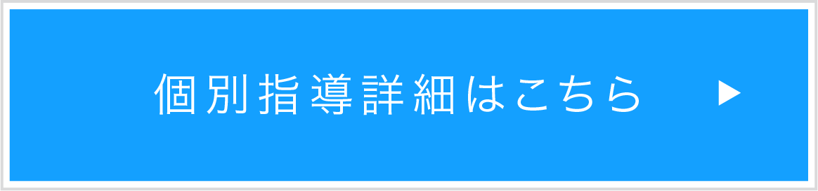 個別指導詳細はこちら