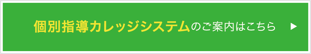 個別指導カレッジシステムのご案内はこちら